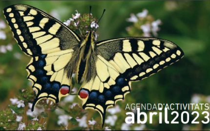 Foto: Agenda d´activitats Abril 2023 |  Agenda Turisme Torredembarra