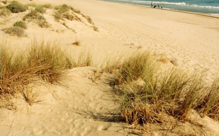 Imatge ampliada: Platja de l´Espai Natural dels Muntanyans