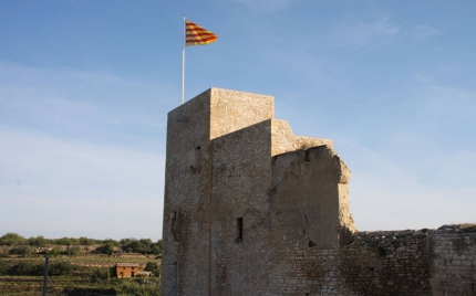 Imatge ampliada: Camí dels Castells del Baix Gaià