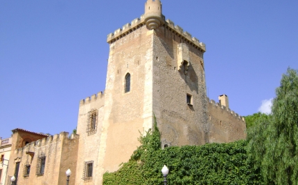 Imatge ampliada: Camí dels Castells del Baix Gaià