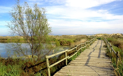 Espai Natural dels Muntanyans